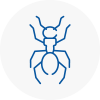 Ant Removals In Brackley