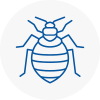 Bed Bug Extermination In Brackley