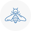 Bee Nest Removal Brackley