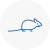 Mice Exterminators In Brackley