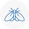 Moth Control Specialists In Brackley