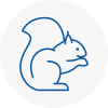 Brackley Rodent Removals